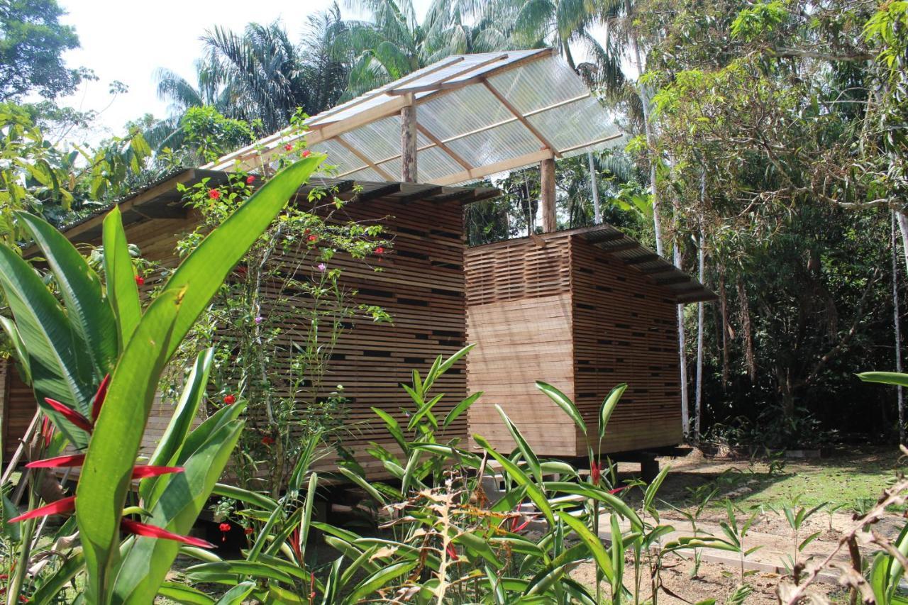 Palmayacu - Refugio Amazónico Letícia Exterior foto
